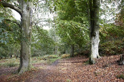 Haughmond Handicap Chase