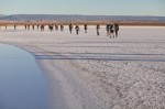 atacama-crossing