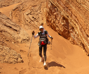 Gobi March