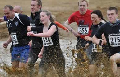 Steeplechase the Obstacle Race