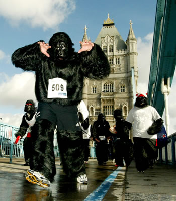 Great Gorilla Run