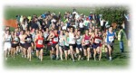 reigate-priory-relays