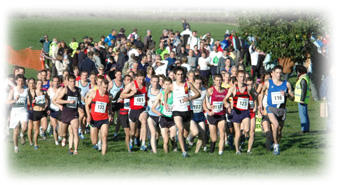 Reigate Priory Relays