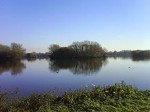 tamworth-10k