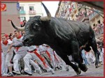 bull-run-usa