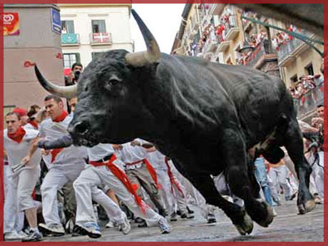 Running of the Bulls USA