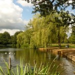 reigate-priory-park