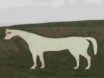white-horse-relay