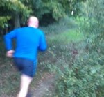 cross-country-race-hertfordshire