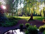 peckham-rye-park-race-london-uk