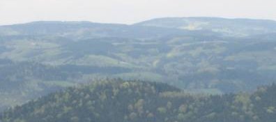 Black Forest Trailrun Masters
