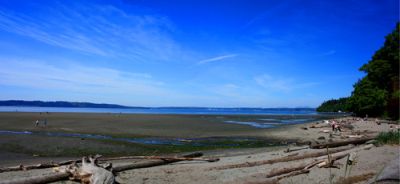 Dash Point State Park 10K, Half-Marathon and Marathon Trail Run