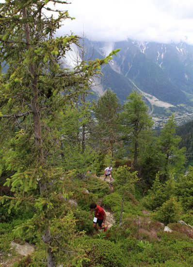 Mont-Blanc Cross