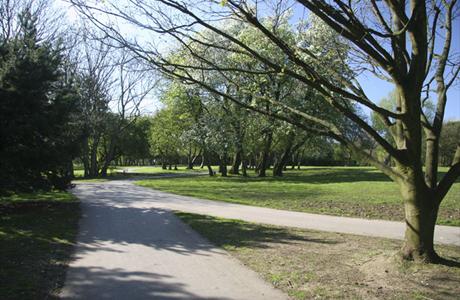 Stanley Park 4 Mile Trail Race