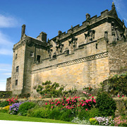 adidas TERREX Sting in Stirling