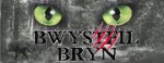 bwystfil-y-bryn-race