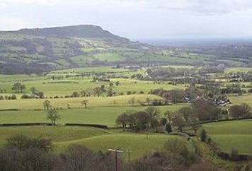 Bosley fell race