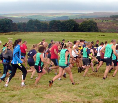 Longshaw Sheepdog Trials 2012