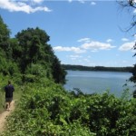eagle-eye-associates-race-for-sight-5k-and-15k-trail-runs