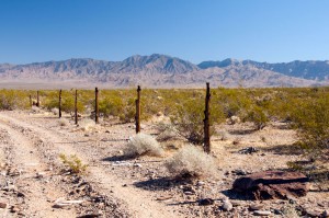 Gold Butte Days Half-Marathon & 5K