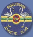 biggleswade-athletics-club-badge