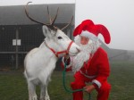 santa-with-reindeer