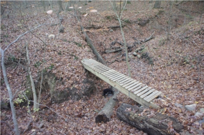 Forest Glen Trail Run