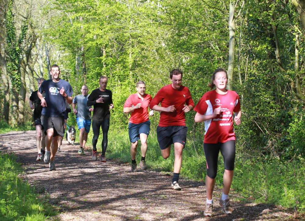 Cheddar Gorge 10km Series