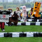mascot-gold-cup-wetherby-racecourse