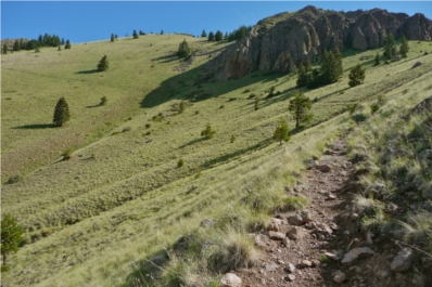 Mt. Taylor 50k