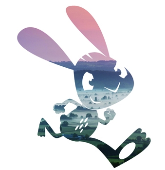 Shapwick Bunny Hop
