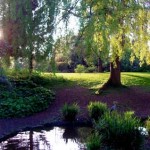peckham-rye-park
