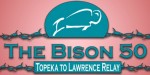 the-bison-50