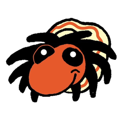 Lowcountry Roots, Rock & Reggae Run 