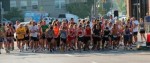 st-albans-quarter-marathon