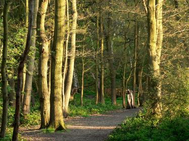 Wimbledon Common 10km