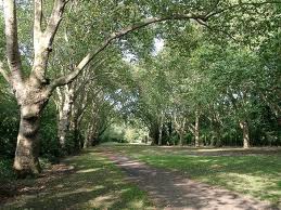 Bishops Park (Fulham) 10km