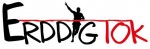 errdig-10k-logo