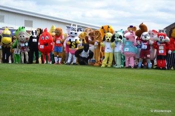The Mascot Gold Cup 2014