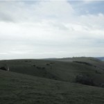 longman-south-downs