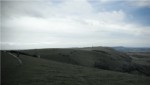 longman-south-downs