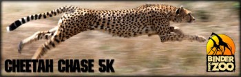 Cheetah Chase
