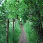 toast-track-wimbledon-common