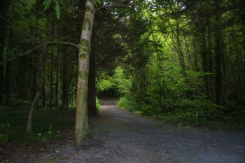 The 1st Shoreham Woods 10k Trail Run