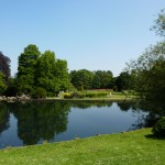 Beddington Park