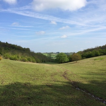 Shoreham Woods 10k Trail Run