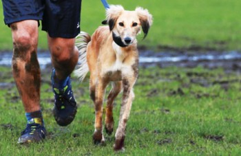 The Muddy Dog Challenge