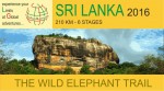SL-logo-gig-fb