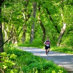 Rock the Creek Relay