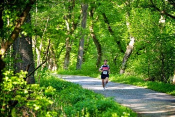 Rock the Creek Relay